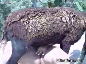 Latin woman in a bestial scene with a goat