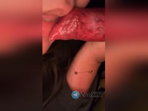 adolescente besa perro, sexo animal explícito