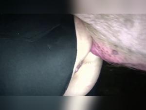 Delving into Forbidden Desires