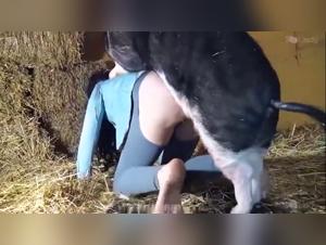 Ariel - Anal Revision - Dog Fuck