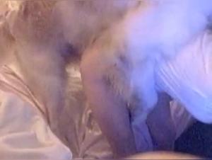 Bestiality sex with a teenager and her dog