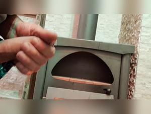 bestiality animal ecstasy