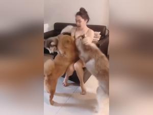 Video of real and intense zoophilia