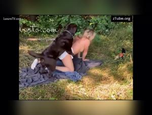 veronica wild dogsex party