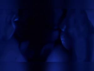 Untamed Dog Pornography Desires