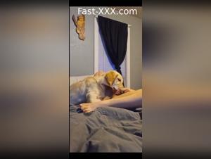 Unveiling Canine Complicity: Ethical Boundaries