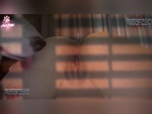 Malucci - Zazá Chien Pmv : Baise Animale