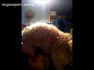 Zoolkoo's Intimate Discoveries