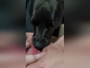 Bestiality sex video: A young girl and her dog