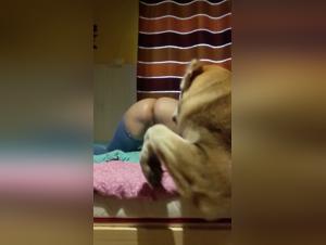 Dog and woman in bestiality sex scene