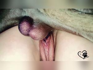 Tiere Ficken: Dog Porn & Bestialität Extrem - Ohne Grenzen