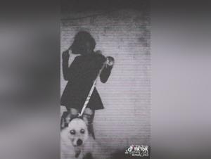 Adorable Mexican Teen in Dog Sex Video