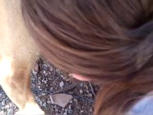 Nerdy Girl Wild Dog Sex - Extreme XXX Videos