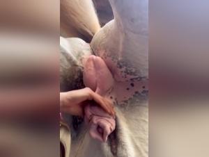 Bestial Porn: Wife's Massage, Dog Cumming, Extreme Sex