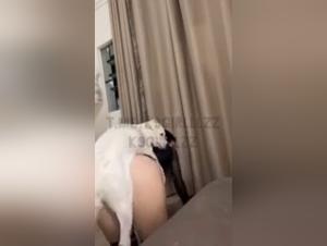 Baise Canine Extreme - Milly 2
