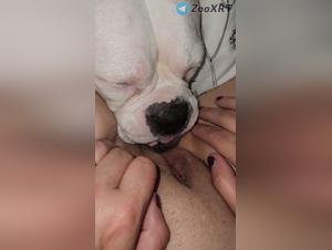 she gets licked by dog : filthy fetish scenes