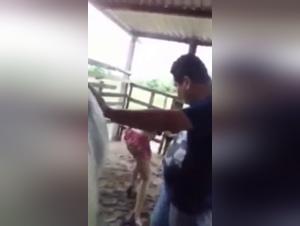 Bestiality with Horses: Shocking Videos
