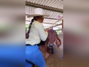 The Most Damn Sexy Girl I Ever Had