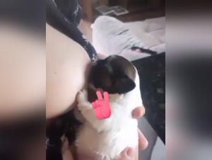 Woman and Dog: A Forbidden Meeting