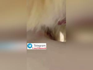 Chinese Girl Dog Sex