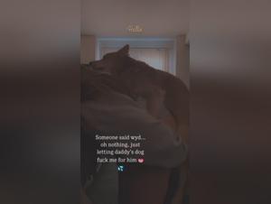 First Bestial Experience: Animal Sex Video