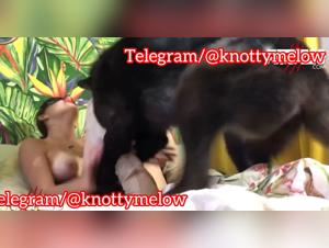 Sexputie: The dog is so aroused she can't control it