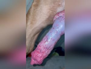 Wild and Sensual Encounter: An Intense Zoophilia Experience