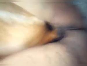 Deep blowjob: a woman and a dog in a zoophilia video