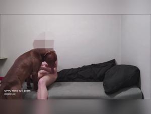 Dog Fucks Girl Training