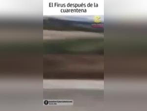 Bestiality: a woman and her dog