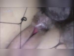 Compilation of Amateur Sex Videos with Dog