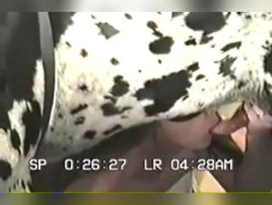 Mädchen fickt Harlequin Dane Teil 1