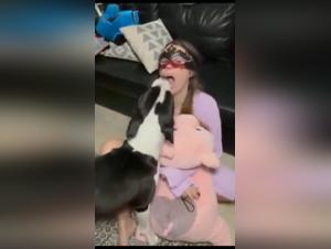 Young girl performs oral sex with her dog