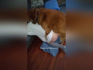 Latina Fucks Dog - Hardcore Bestiality
