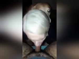 Eine leidenschaftliche Beziehung zu einem Hund