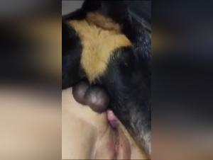 Mature woman and dog: a beastly love story