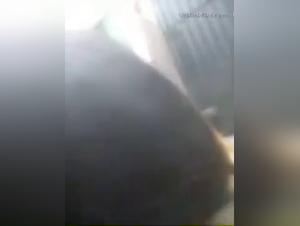 Teenage girl and her dog: a story of bestiality