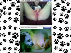 Bestiality sex videos: discover the extreme with our selection of sex with dogs