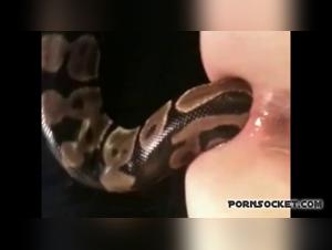 Lesbiana folla perro salvajemente