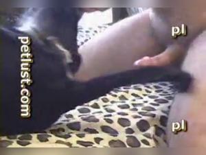 Bestiality Sex Compilation with Men and Bitches