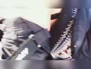 slut fucks big dog hard