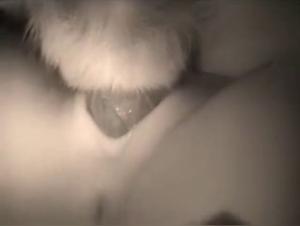 Dog fucks a slut