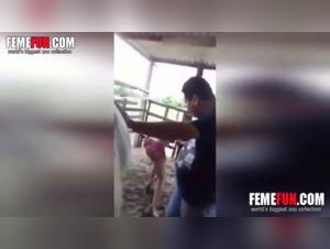 Extreme Bestiality Video: Sex with a Horse