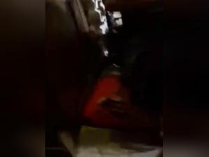 French Bestiality: Dog fucks teen - Zoophilly Tube