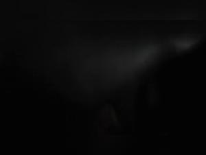 Forbidden Video: Sex with a Dog