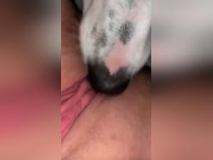 Bestiality sex video with dog