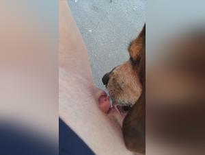 ethical boundaries in zoophilia