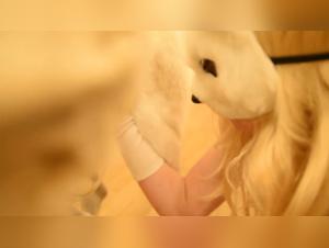 Woman White and Her Canine Lover: A Taboo Sexual Encounter