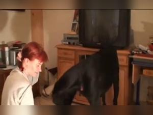 Red-haired woman and dog: a beastly encounter