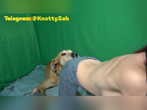 Dog's Control: Woman Submissive to Licking, Nipping, Mounting